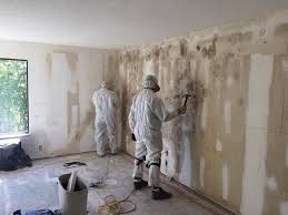 Best Biohazard Mold Removal  in Isle Of Palms, SC